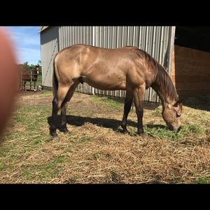 Meet your Posher, Terry